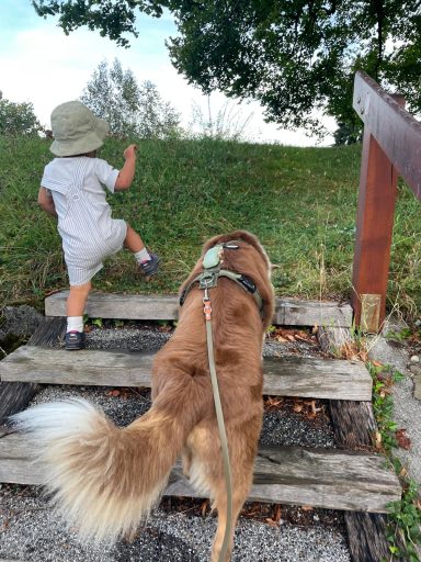 Einzelsetting
